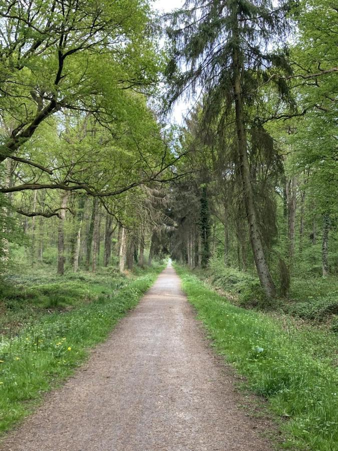 Le Chalet De La Longere Beuvry-la-Foret ภายนอก รูปภาพ